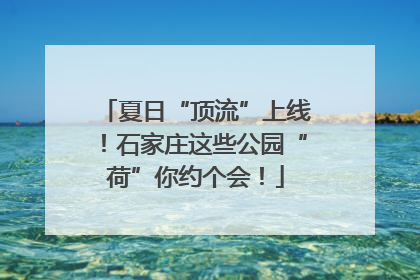夏日“顶流”上线！石家庄这些公园“荷”你约个会！