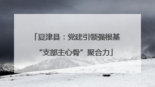 夏津县：党建引领强根基 “支部主心骨”聚合力