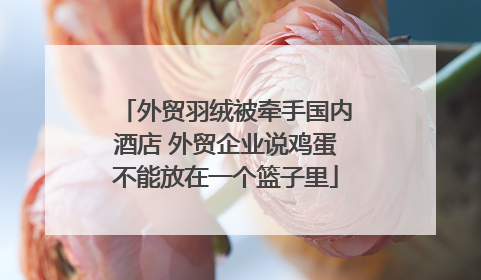 外贸羽绒被牵手国内酒店 外贸企业说鸡蛋不能放在一个篮子里