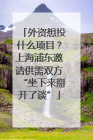 外资想投什么项目？上海浦东邀请供需双方“坐下来掰开了谈”