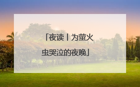 夜读丨为萤火虫哭泣的夜晚