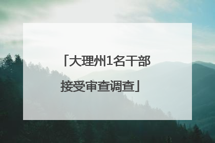 大理州1名干部接受审查调查