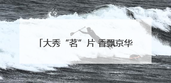 大秀“茗”片 香飘京华——2025年“一展两会”展现泉州茶独特魅力