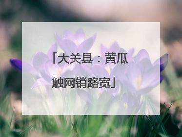 大关县：黄瓜触网销路宽