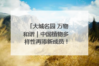 大城名园 万物和谐｜中国植物多样性再添新成员！它只在西藏墨脱
