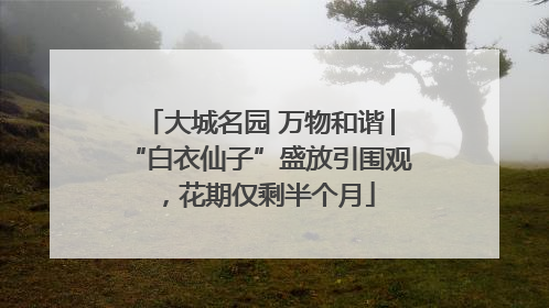 大城名园 万物和谐│“白衣仙子”盛放引围观，花期仅剩半个月