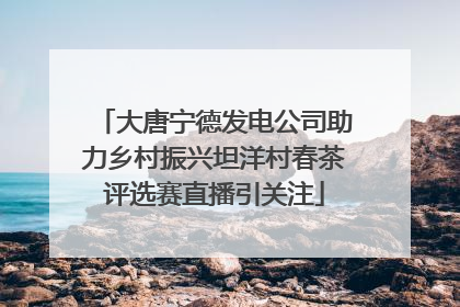 大唐宁德发电公司助力乡村振兴坦洋村春茶评选赛直播引关注