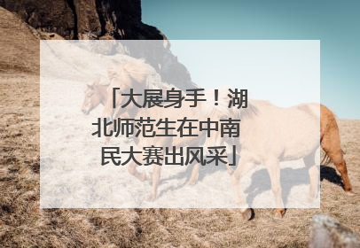 大展身手！湖北师范生在中南民大赛出风采
