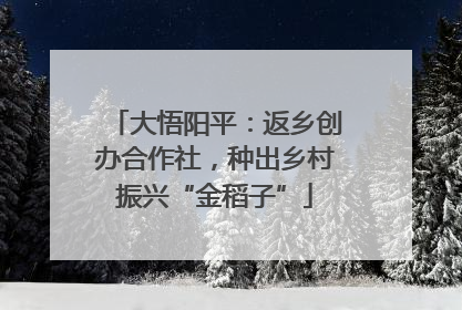 大悟阳平：返乡创办合作社，种出乡村振兴“金稻子”