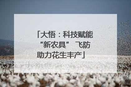 大悟：科技赋能“新农具” 飞防助力花生丰产