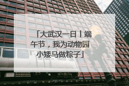大武汉一日丨端午节，我为动物园小矮马做粽子