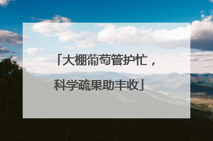 大棚葡萄管护忙，科学疏果助丰收