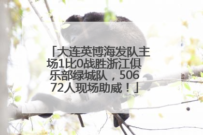 大连英博海发队主场1比0战胜浙江俱乐部绿城队，50672人现场助威！