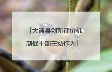大通县创新评价机制促干部主动作为