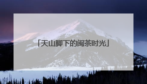 天山脚下的闽茶时光