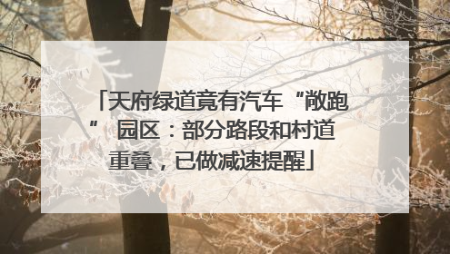 天府绿道竟有汽车“敞跑” 园区：部分路段和村道重叠，已做减速提醒