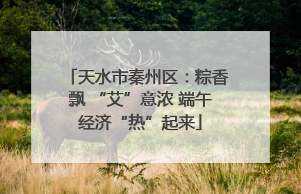 天水市秦州区：粽香飘 “艾”意浓 端午经济“热”起来