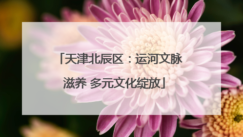 天津北辰区：运河文脉滋养 多元文化绽放