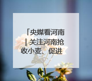 央媒看河南｜关注河南抢收小麦、促进就业等内容