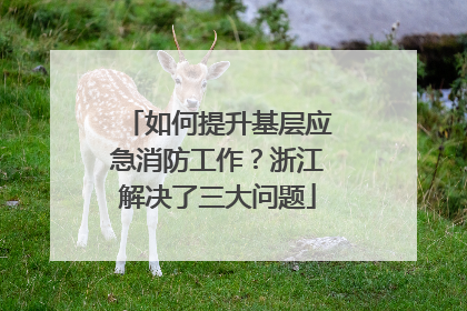 如何提升基层应急消防工作？浙江解决了三大问题