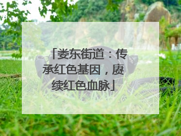 娄东街道：传承红色基因，赓续红色血脉