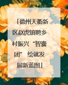 德州天衢新区赵虎镇聘乡村振兴“智囊团” 绘就发展新蓝图