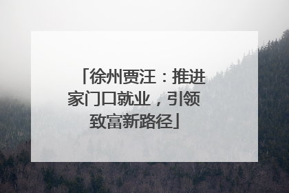 徐州贾汪：推进家门口就业，引领致富新路径