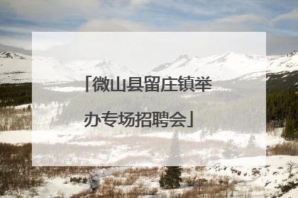微山县留庄镇举办专场招聘会