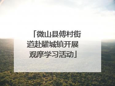微山县傅村街道赴驩城镇开展观摩学习活动