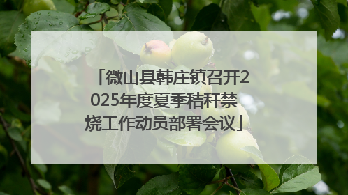 微山县韩庄镇召开2025年度夏季秸秆禁烧工作动员部署会议