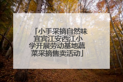 小手采摘自然味 宜宾江安西江小学开展劳动基地蔬菜采摘售卖活动