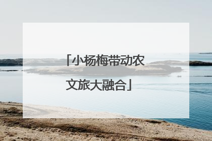 小杨梅带动农文旅大融合