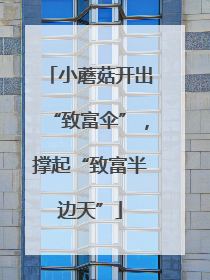 小蘑菇开出“致富伞”，撑起“致富半边天”