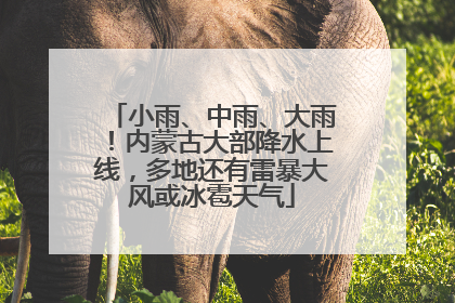 小雨、中雨、大雨！内蒙古大部降水上线，多地还有雷暴大风或冰雹天气