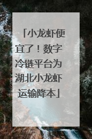 小龙虾便宜了！数字冷链平台为湖北小龙虾运输降本