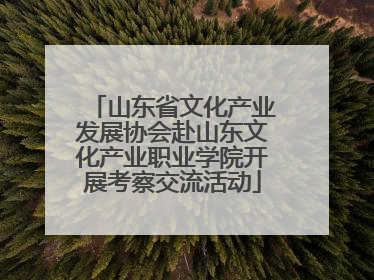 山东省文化产业发展协会赴山东文化产业职业学院开展考察交流活动