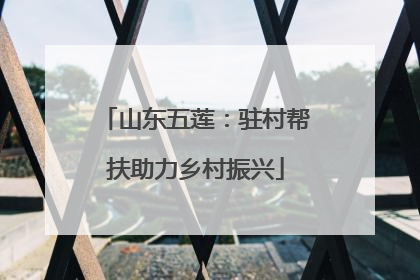 山东五莲：驻村帮扶助力乡村振兴