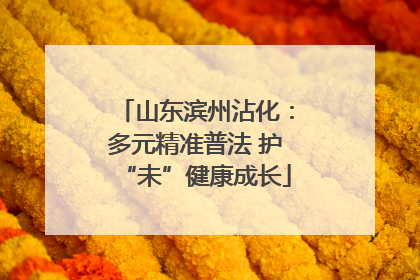 山东滨州沾化：多元精准普法 护“未”健康成长