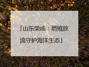 山东荣成：增殖放流守护海洋生态