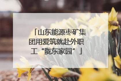 山东能源枣矿集团用爱筑就赴外职工“陇东家园”