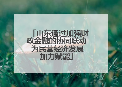 山东通过加强财政金融的协同联动 为民营经济发展加力赋能