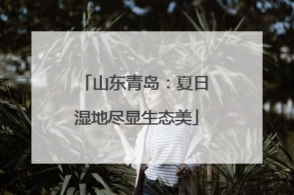 山东青岛：夏日湿地尽显生态美