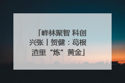 峰林聚智 科创兴张丨贺健：葛根渣里“炼”黄金