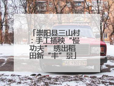 崇阳县三山村：手工插秧“慢功夫” 绣出稻田新“丰”景