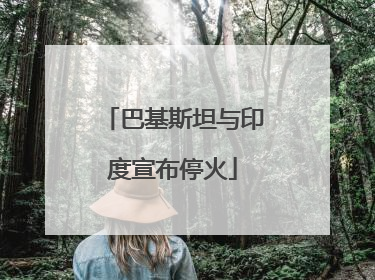巴基斯坦与印度宣布停火