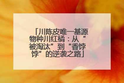 川陈皮唯一基源物种川红橘：从“被淘汰”到“香饽饽”的逆袭之路