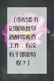 市纪委书记现场督导酒醉驾夜查工作：有没有干部耍特权？