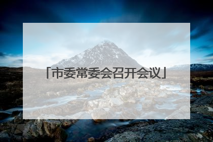 市委常委会召开会议