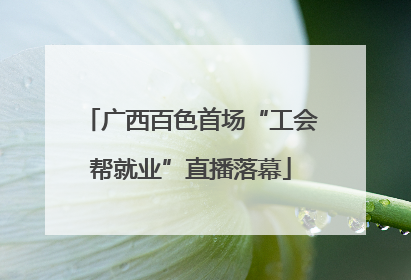 广西百色首场“工会帮就业”直播落幕