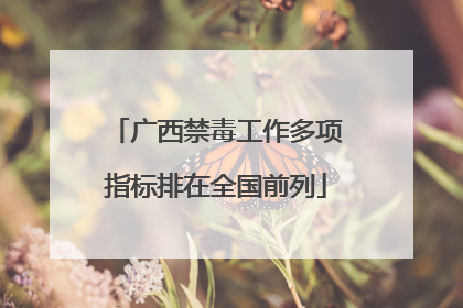 广西禁毒工作多项指标排在全国前列